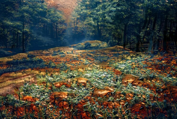 Herbstwald mit buntem Laub und einem Waldweg