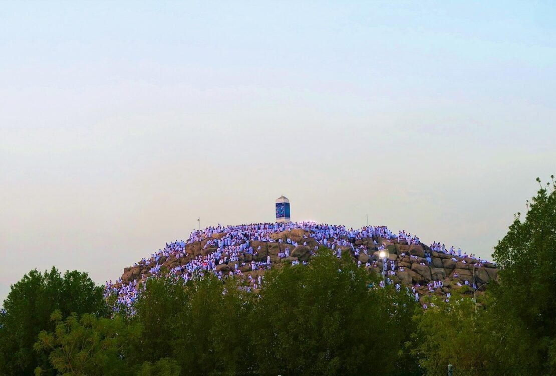 Blühender Baum mit violetten Blüten in einer Landschaft